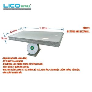 Tấm Bê Tông Nhẹ LICO WALL T9