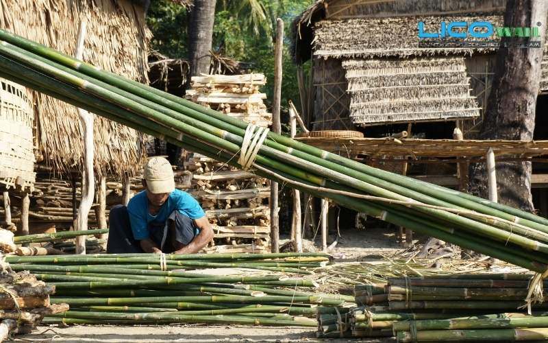 Chọn lựa tre trước khi thi công bê tông cốt tre