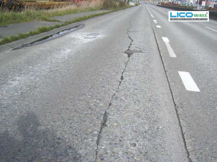 Co Ngót Bê Tông Nhẹ - 1