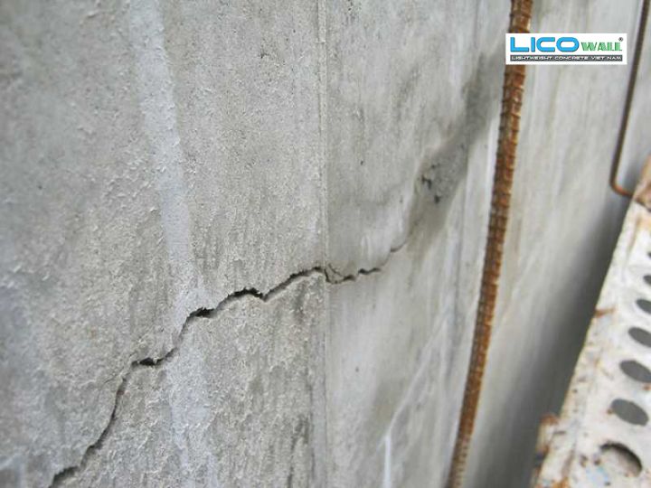 Co Ngót Bê Tông Nhẹ - 3