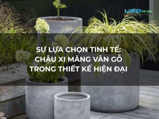 Sự Lựa Chọn Tinh Tế Chậu Xi Măng Vân Gỗ Trong Thiết Kế Hiện Đại